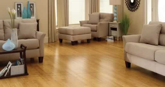 Bamboo Flooring